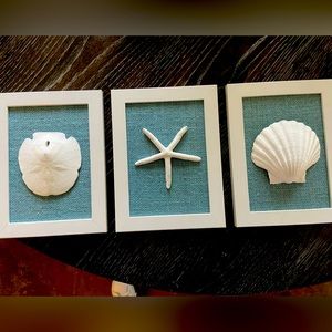 Sea shell decor/wall hangings set of 3